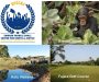 Center for Rights and Justice Seeks Transparency on Islands, Wetlands and Nature Areas
